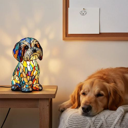 O Encanto da Companhia