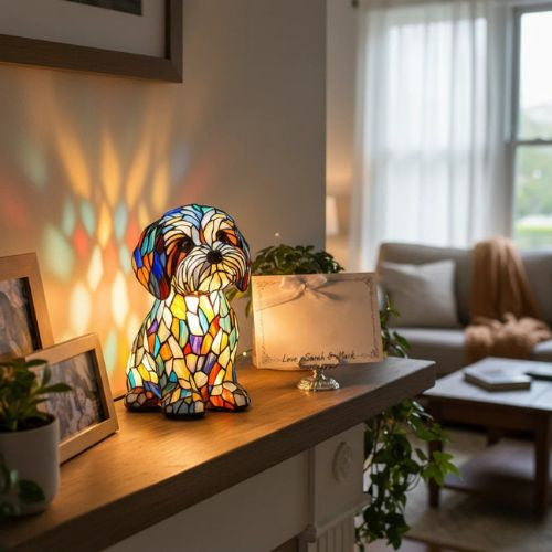 O Encanto da Companhia